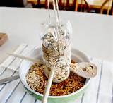 Homemade Bird Feeder Pictures