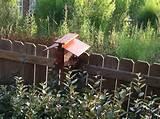 Images of Homemade Bird Feeder Images of Homemade Bird Feeder