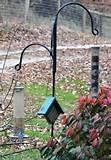Feeding Wild Birds Photos Feeding Wild Birds Photos