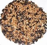 Bird Feed Images Bird Feed Images